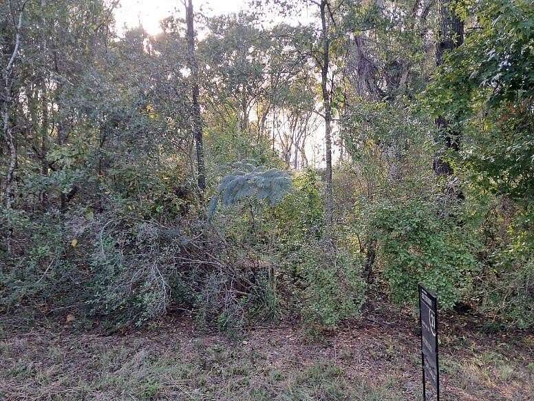 10 Acres of Residential Land for Sale in Tylertown, Mississippi