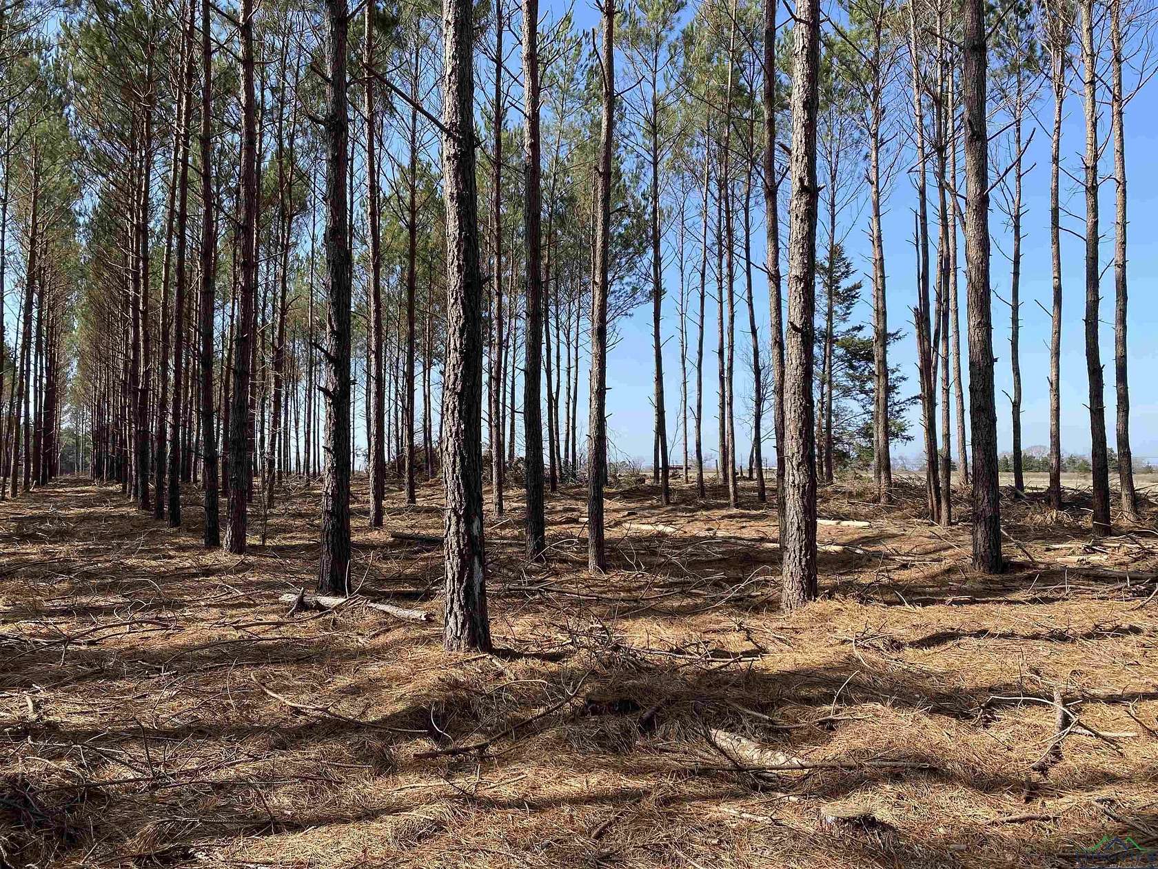 47.9 Acres of Recreational Land for Sale in Hughes Springs, Texas