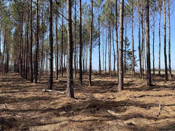 47.9 Acres of Recreational Land for Sale in Hughes Springs, Texas