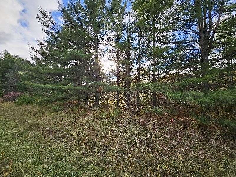 20 Acres of Recreational Land for Sale in Alger, Michigan