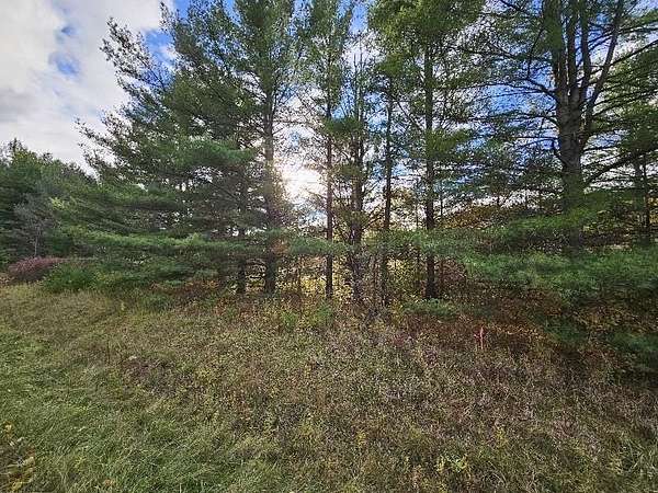 20 Acres of Recreational Land for Sale in Alger, Michigan
