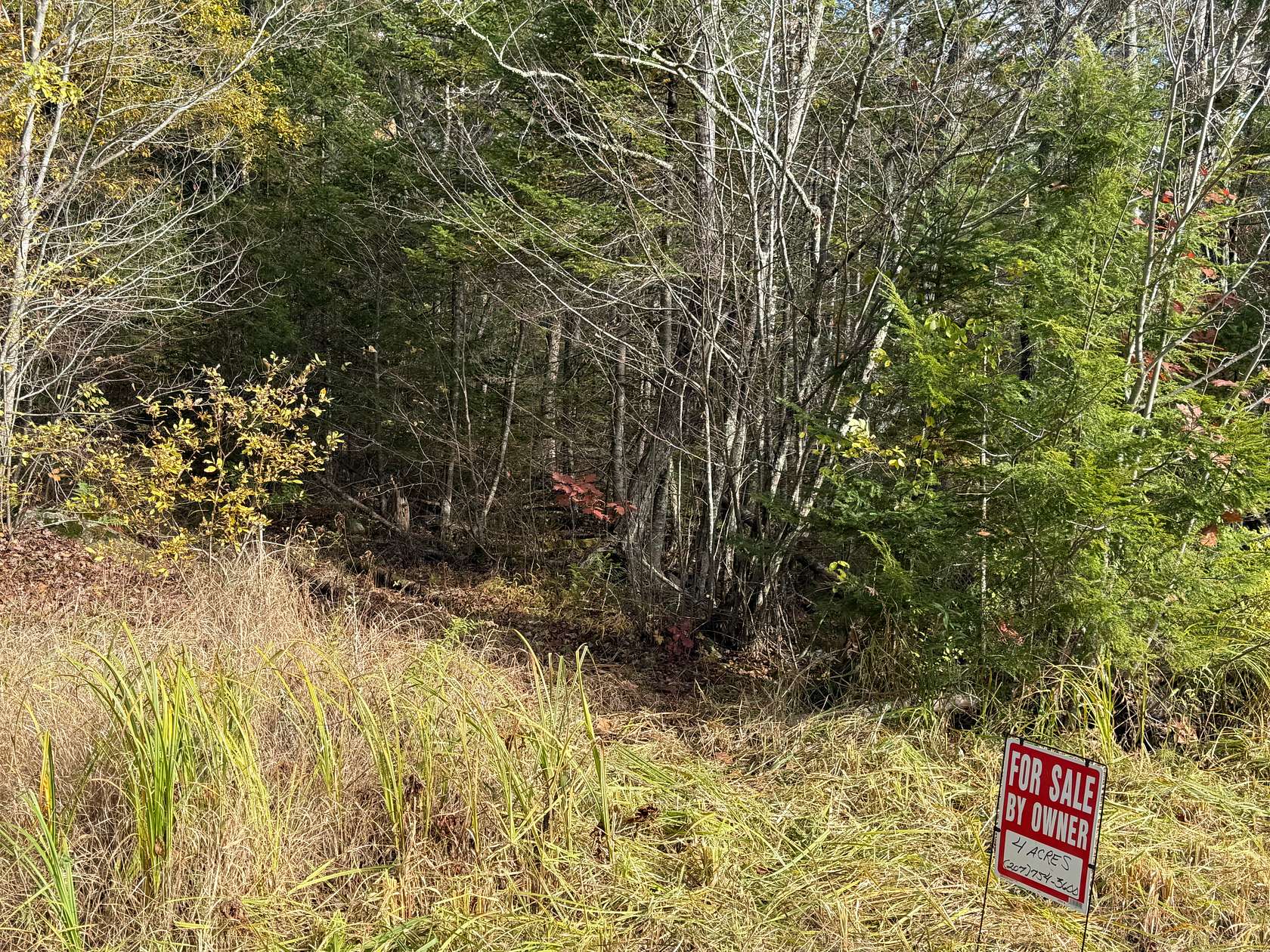 4 Acres of Residential Land for Sale in Litchfield Town, Maine