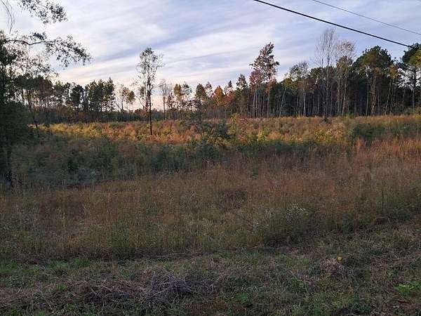 16.4 Acres of Land for Sale in Tylertown, Mississippi