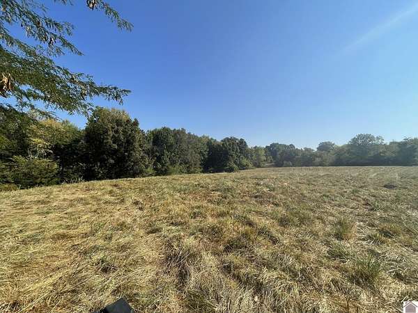 19.5 Acres of Land with Home for Auction in Fancy Farm, Kentucky