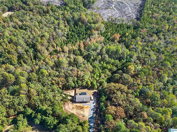 17 Acres of Land with Home for Sale in Clanton, Alabama