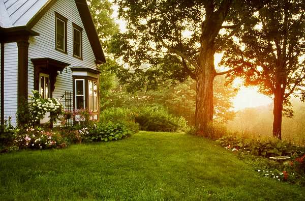 254 Acres of Land for Sale in Temple Town, Maine