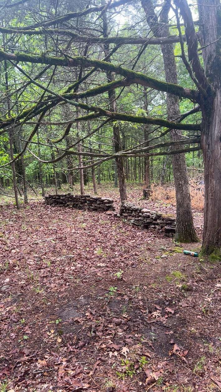 11.3 Acres of Land for Sale in Forsyth, Missouri