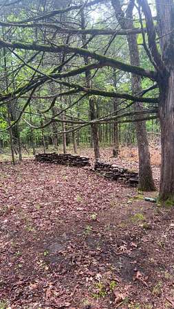 11.3 Acres of Land for Sale in Forsyth, Missouri