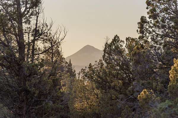 57.5 Acres of Land for Sale in Bend, Oregon