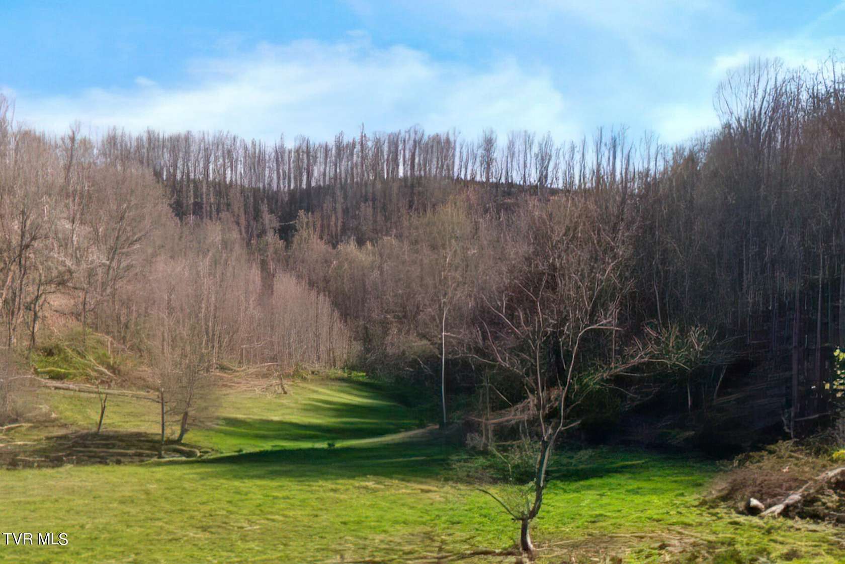 44 Acres of Land for Sale in Trade, Tennessee