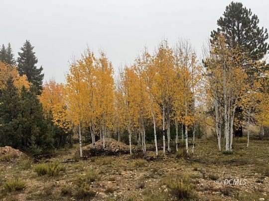 0.76 Acres of Residential Land for Sale in Duck Creek Village, Utah