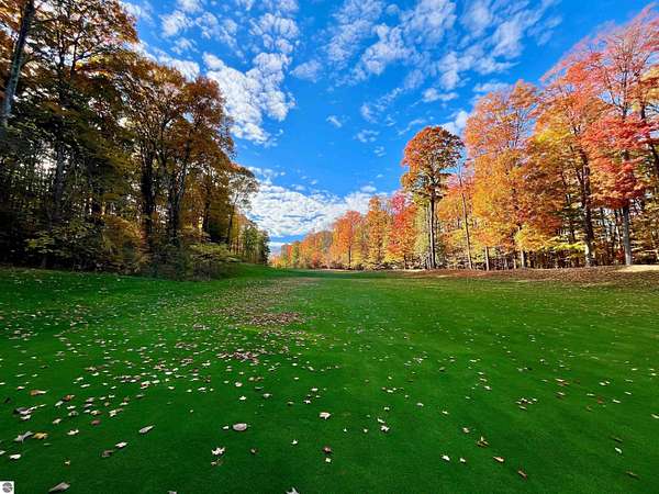 0.77 Acres of Land for Sale in Bellaire, Michigan