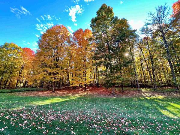 1 Acre of Residential Land for Sale in Bellaire, Michigan