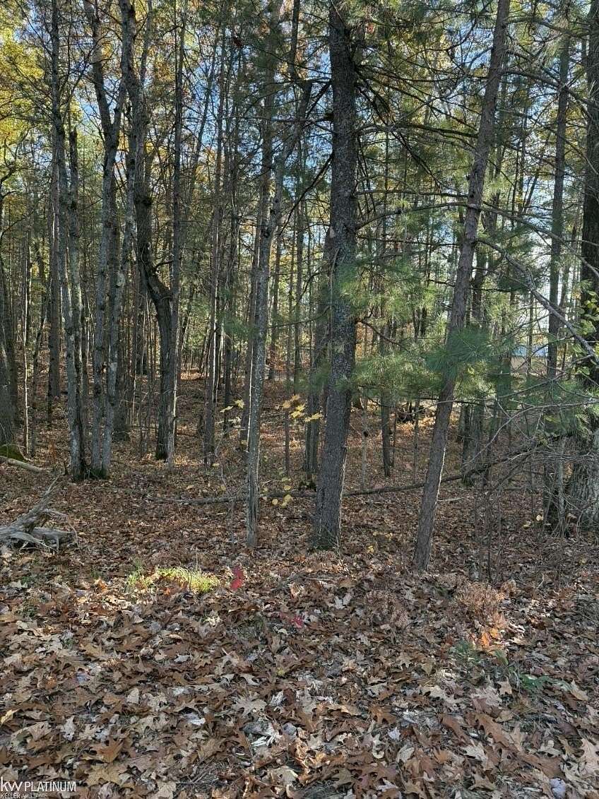 0.2 Acres of Residential Land for Sale in Kalkaska, Michigan