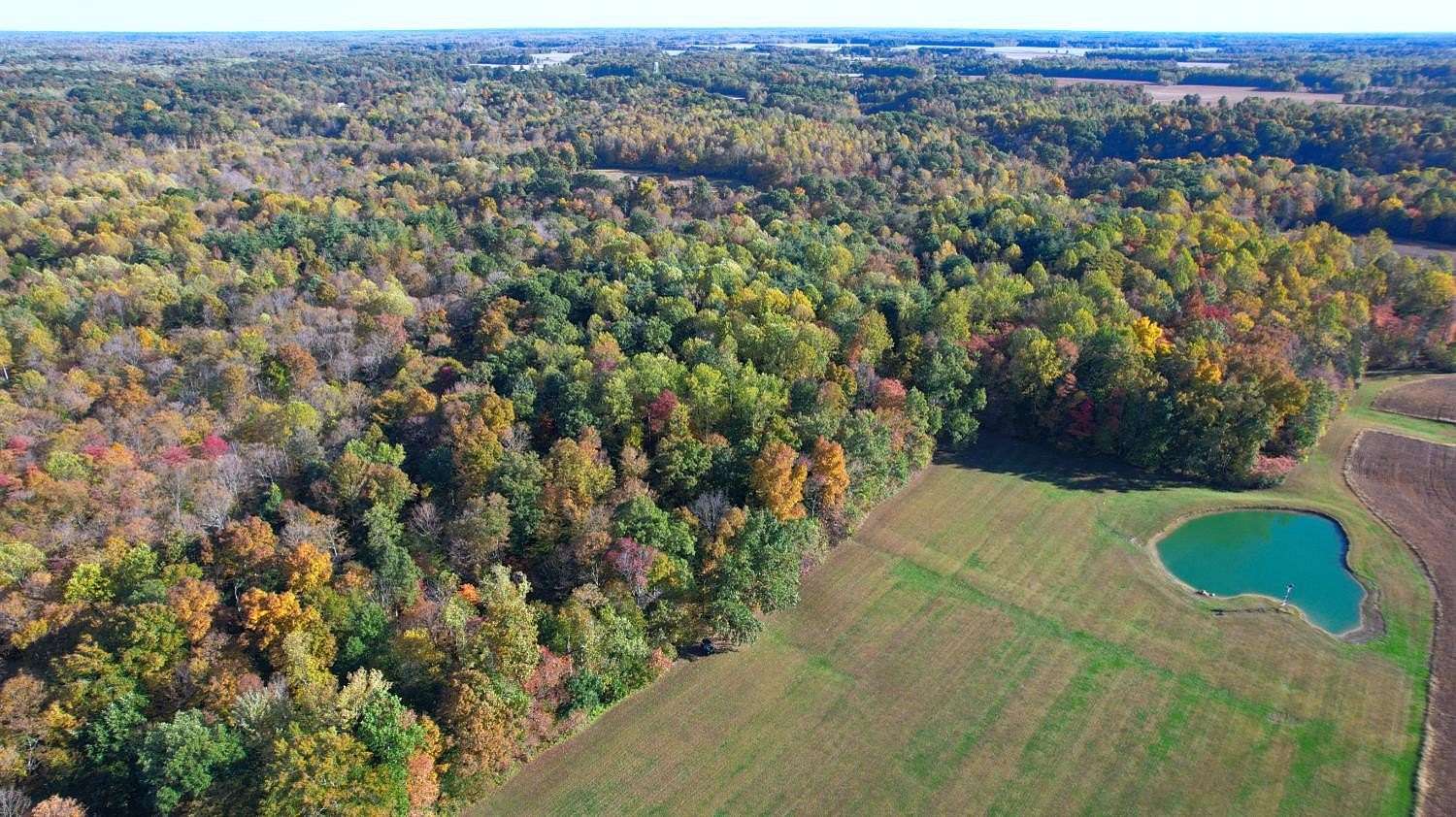48 Acres of Land for Sale in Butlerville, Indiana
