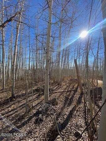 1 Acre of Residential Land for Sale in Coalville, Utah