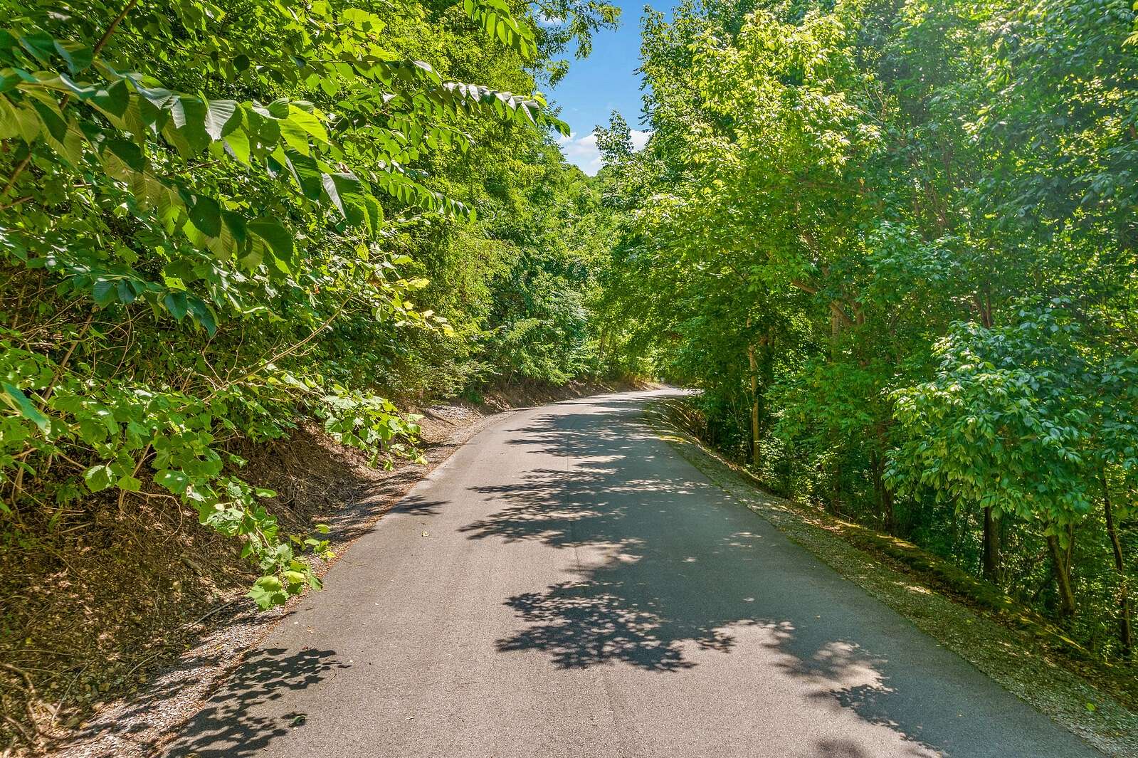 0.68 Acres of Residential Land for Sale in Smithville, Tennessee