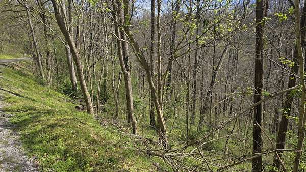 0.68 Acres of Residential Land for Sale in Smithville, Tennessee