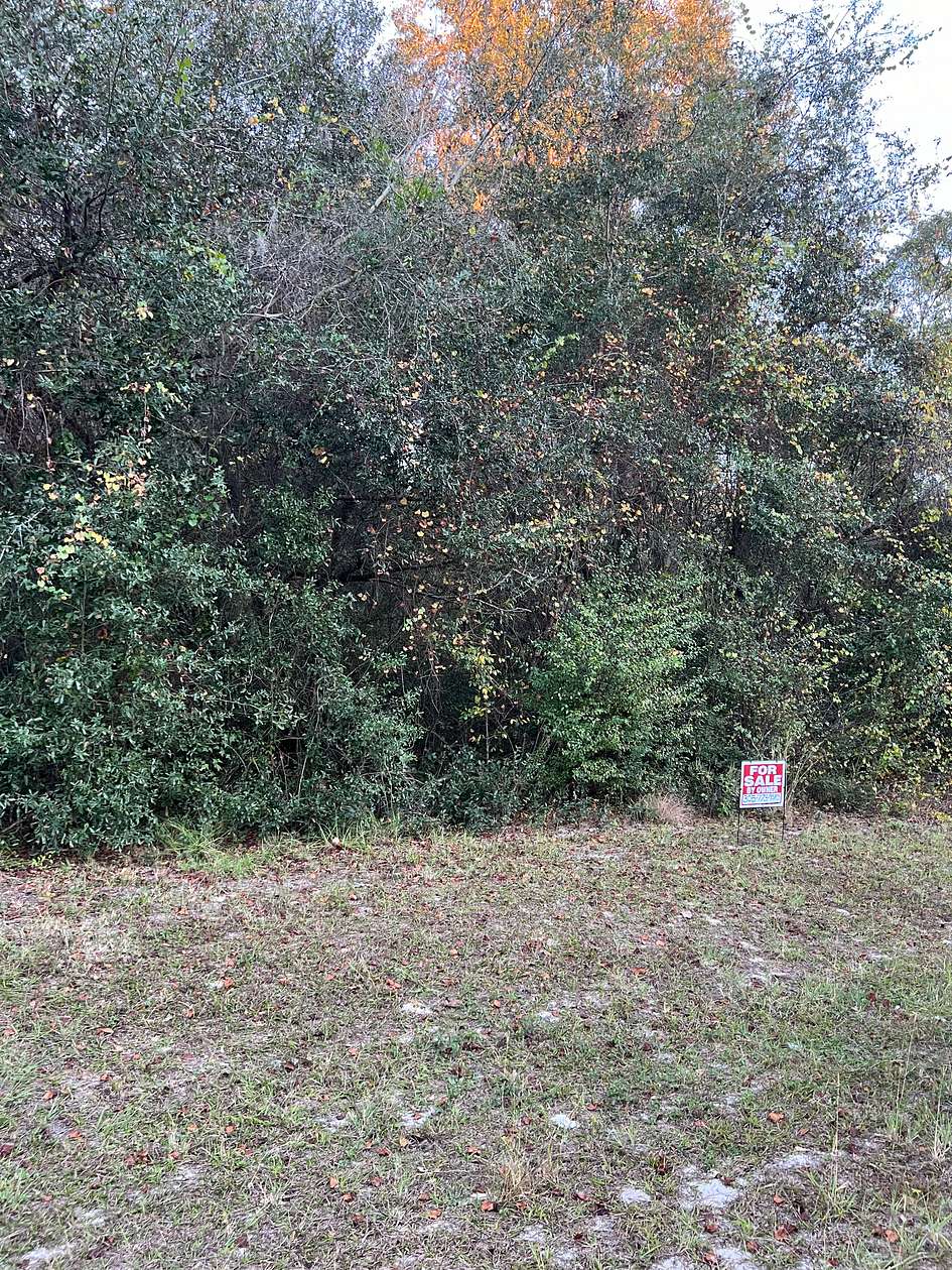 0.51 Acres of Residential Land for Sale in Citra, Florida