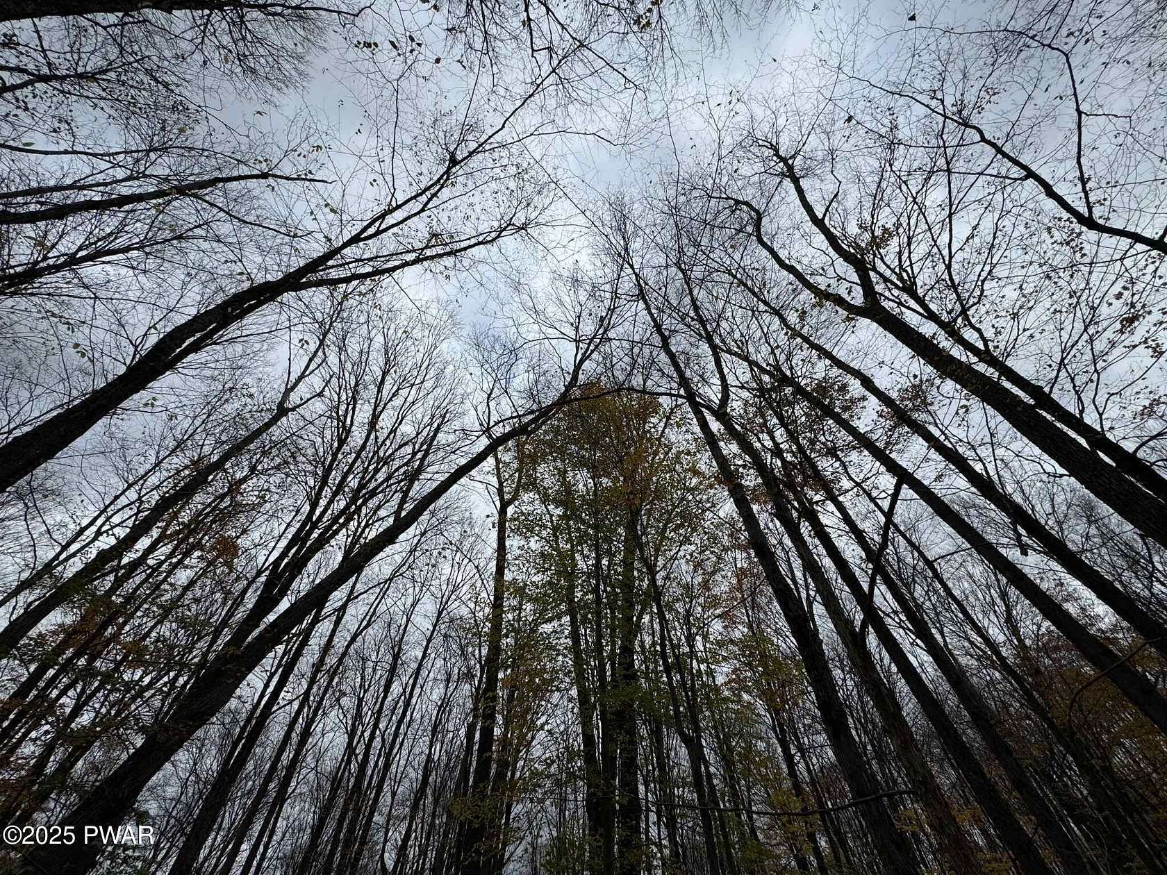 0.66 Acres of Residential Land for Sale in Lake Ariel, Pennsylvania