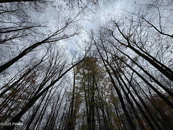 0.66 Acres of Residential Land for Sale in Lake Ariel, Pennsylvania