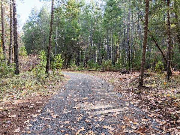5 Acres of Residential Land for Sale in Cave Junction, Oregon