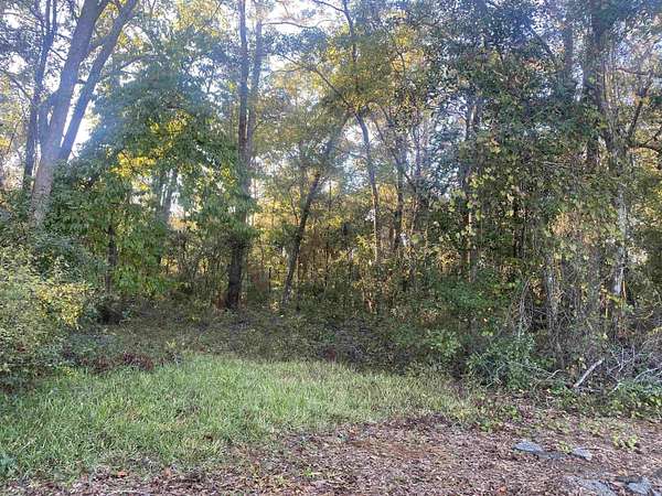 2 Acres of Residential Land for Sale in Tallahassee, Florida