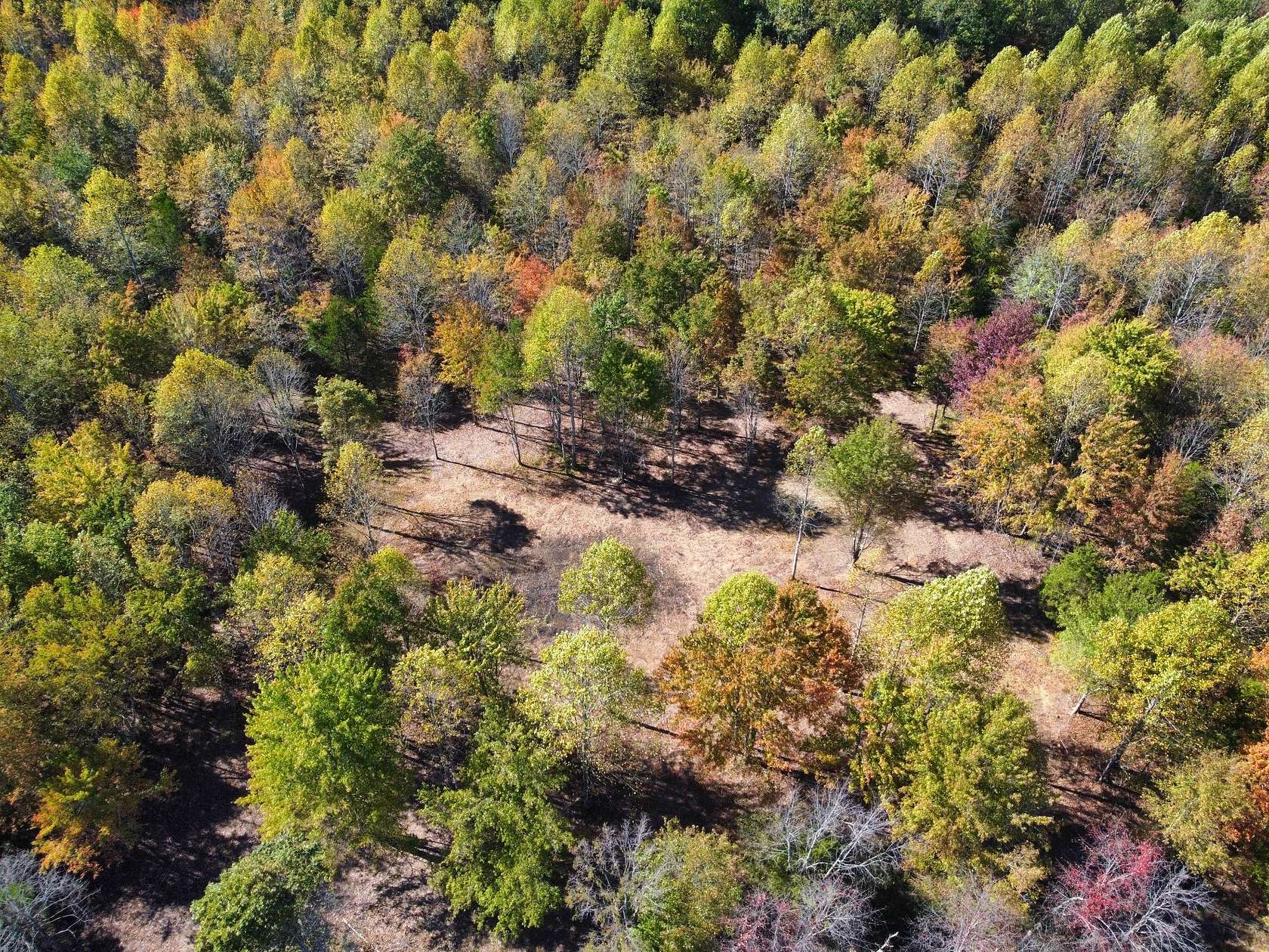 5 Acres of Residential Land for Sale in Westmoreland, Tennessee