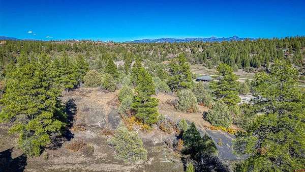 7.5 Acres of Residential Land for Sale in Pagosa Springs, Colorado