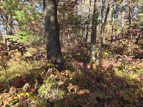 6.25 Acres of Land for Sale in Baldwin, Michigan