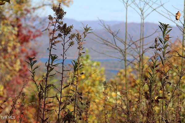 6 Acres of Residential Land for Sale in Butler, Tennessee