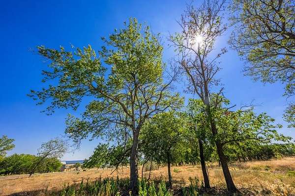 4.17 Acres of Residential Land for Sale in Fredericksburg, Texas