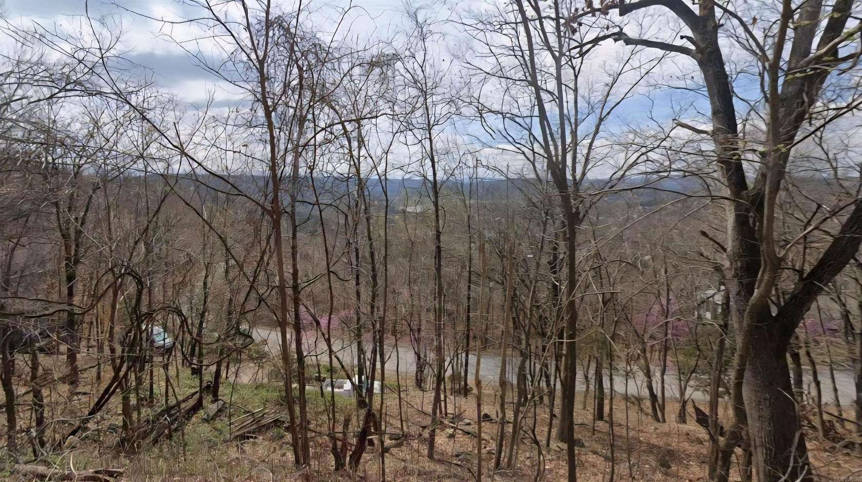 0.4 Acres of Residential Land for Sale in Holiday Island, Arkansas