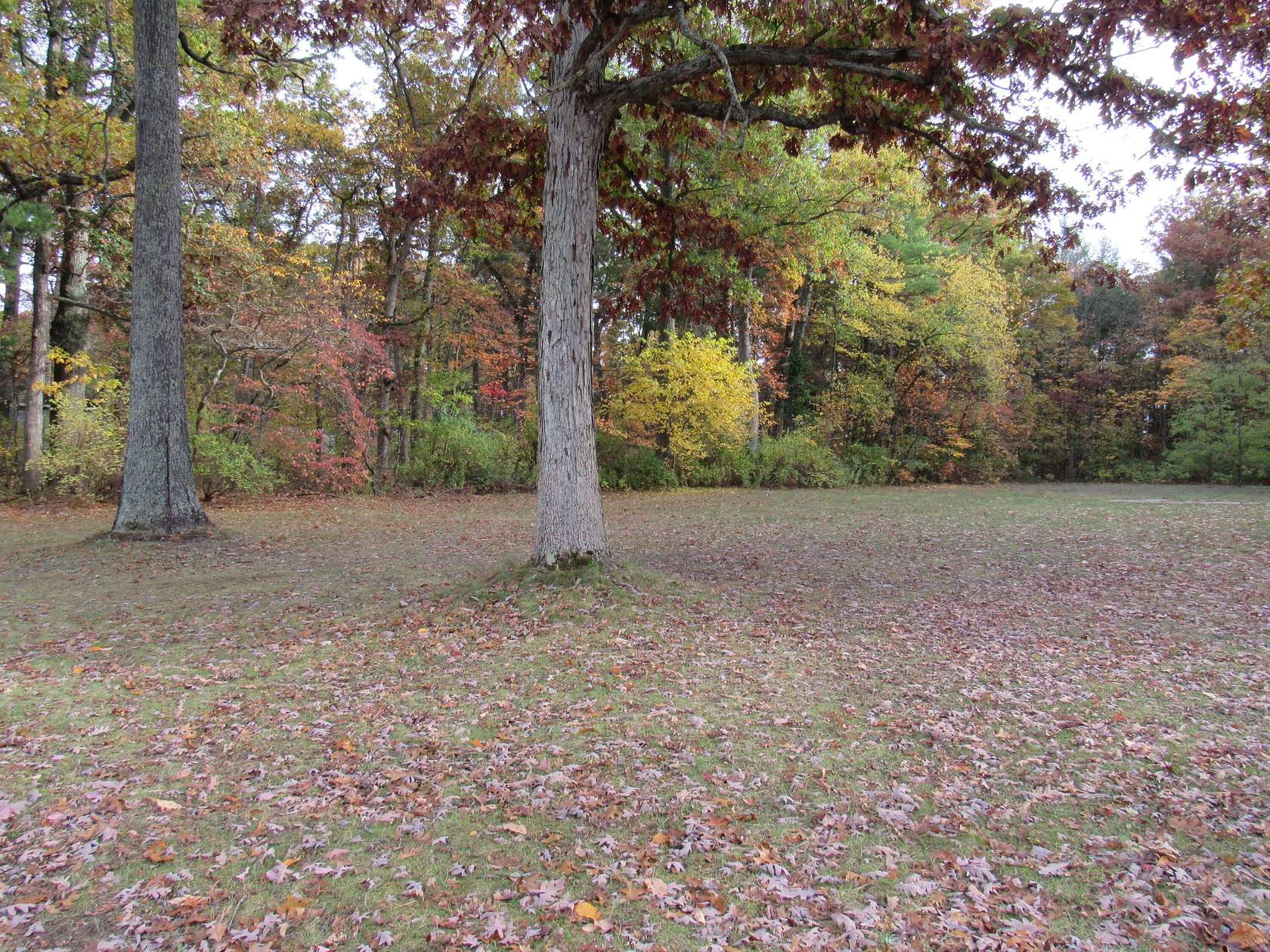 2 Acres of Residential Land for Sale in Twin Lake, Michigan
