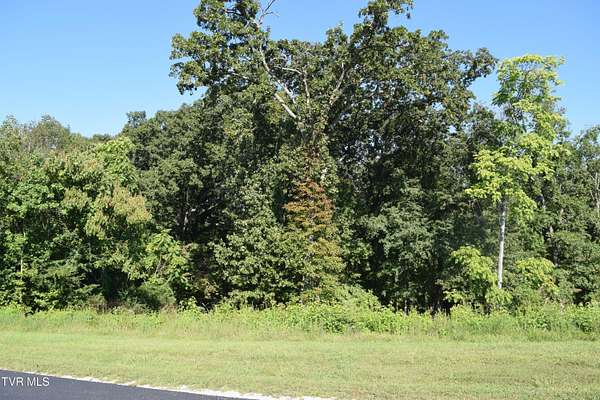 1.13 Acres of Residential Land for Sale in Rockwood, Tennessee