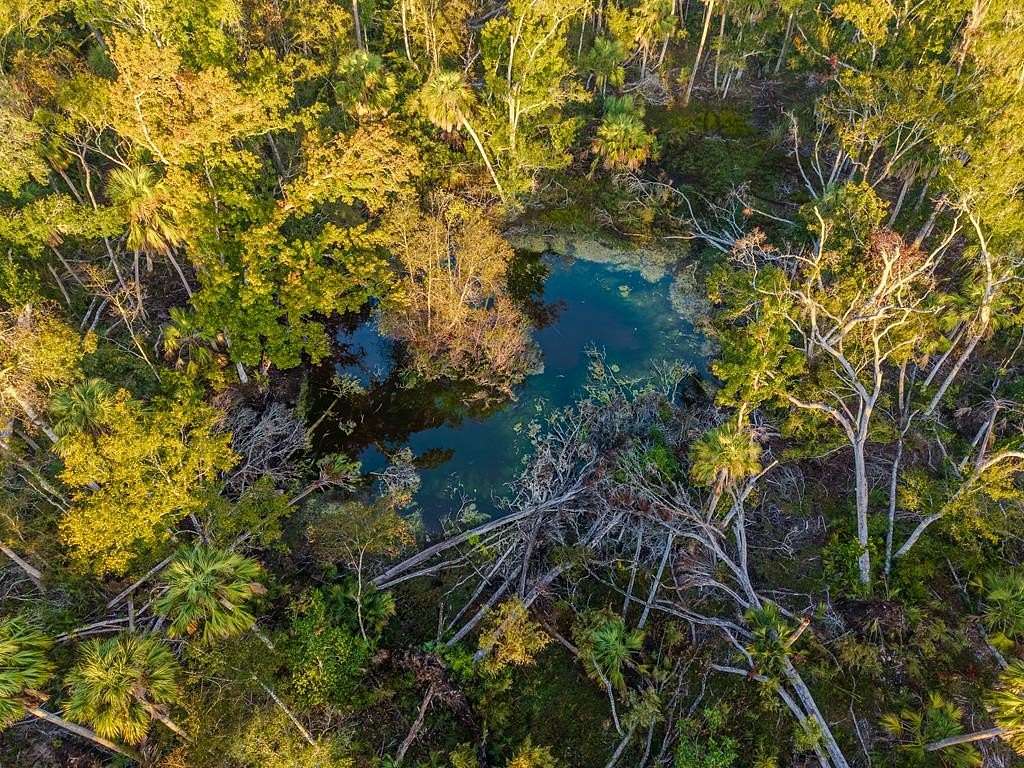 40 Acres of Recreational Land for Sale in Horseshoe Beach, Florida