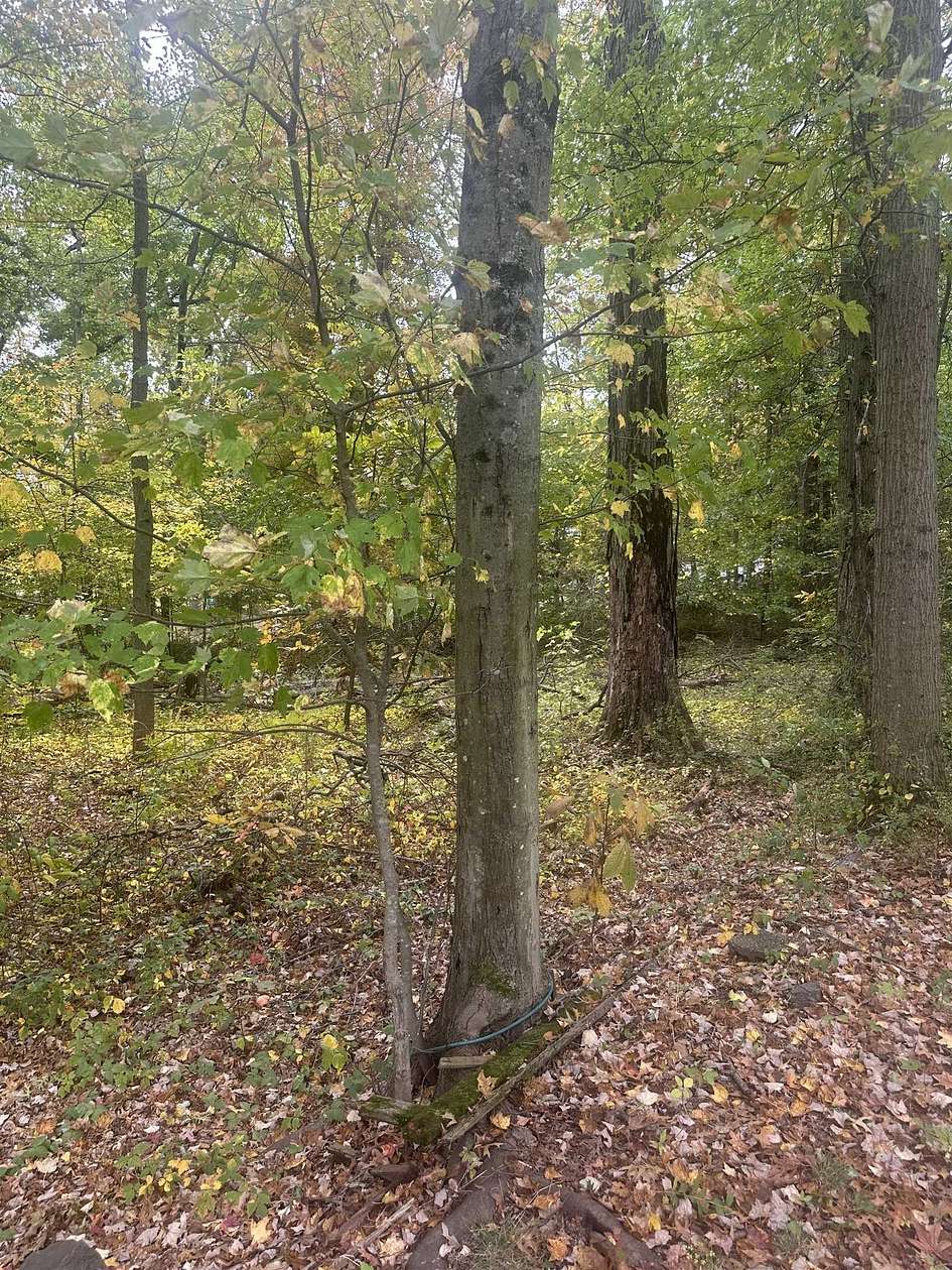 3 Acres of Land for Sale in South Brunswick Township, New Jersey