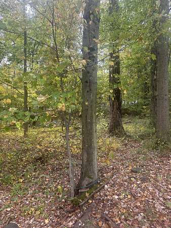 3 Acres of Land for Sale in South Brunswick Township, New Jersey