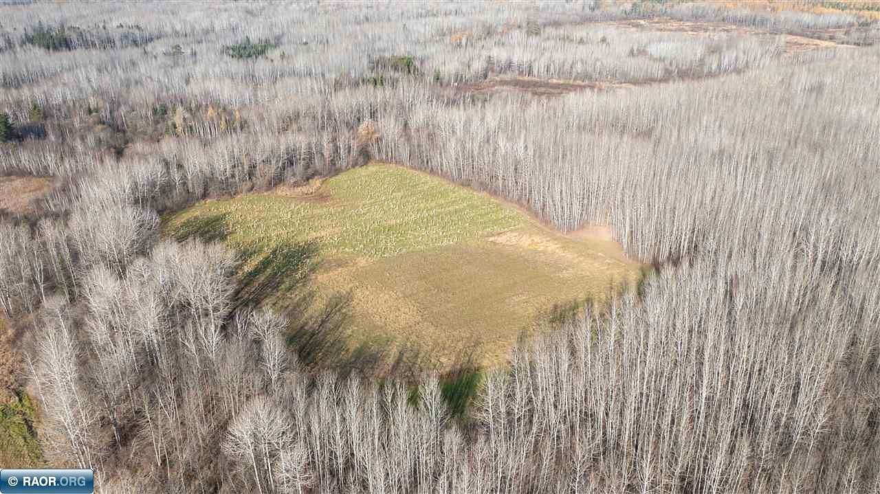 30 Acres of Recreational Land for Sale in Gheen, Minnesota