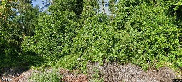 0.23 Acres of Residential Land for Sale in Lake Placid, Florida