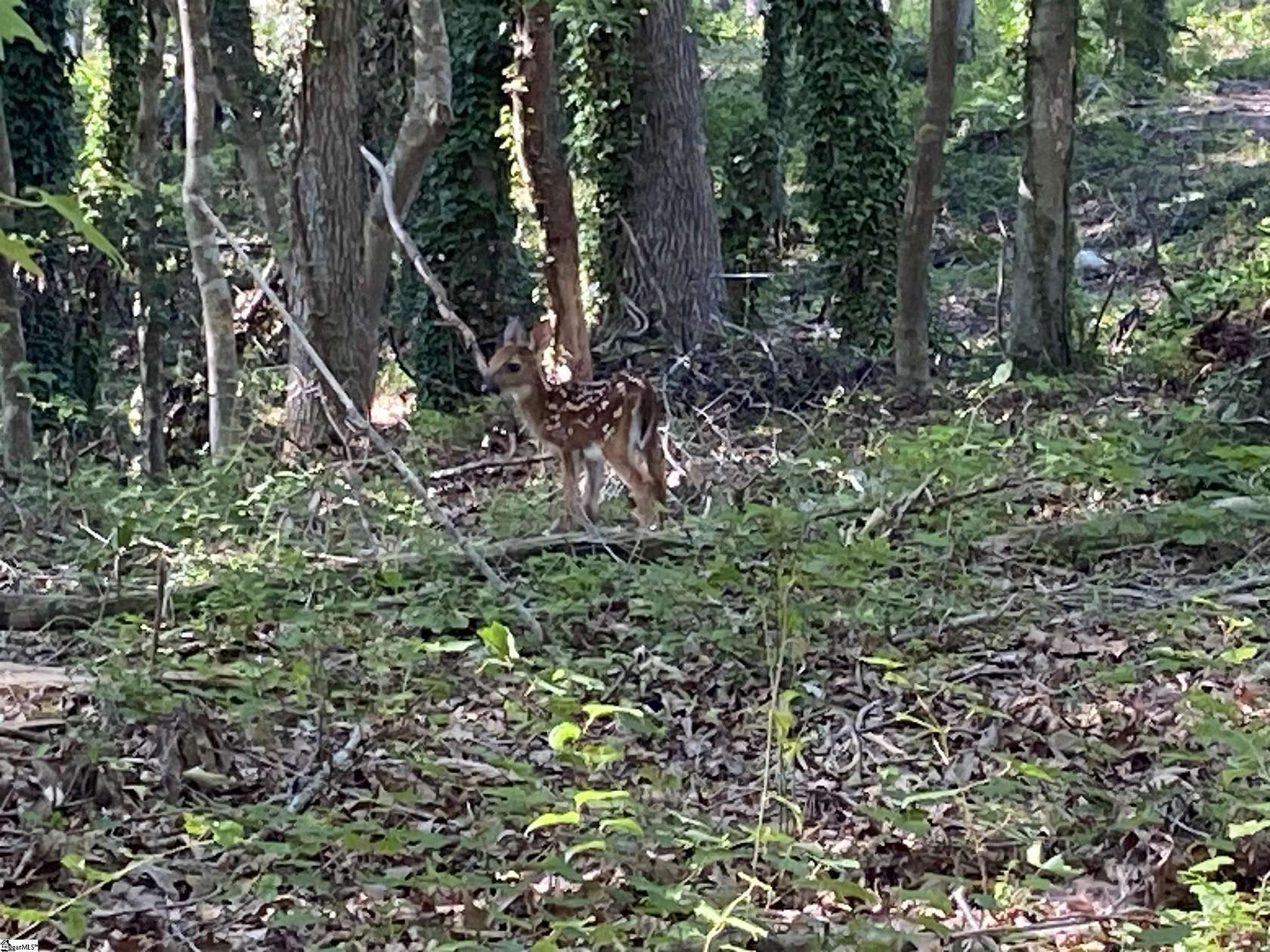 16.4 Acres of Land for Sale in Honea Path, South Carolina