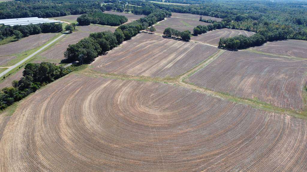 48 Acres of Land for Sale in Red Level, Alabama