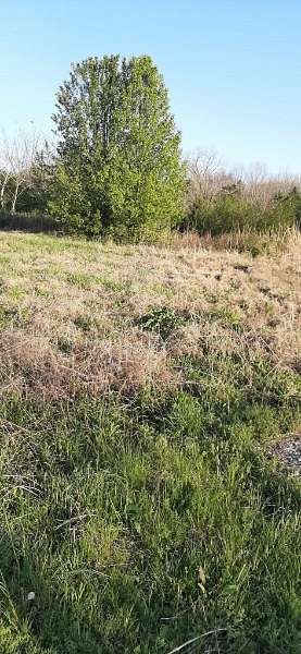 1.6 Acres of Commercial Land for Sale in Lewisburg, Tennessee