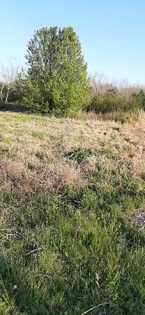 1.6 Acres of Commercial Land for Sale in Lewisburg, Tennessee