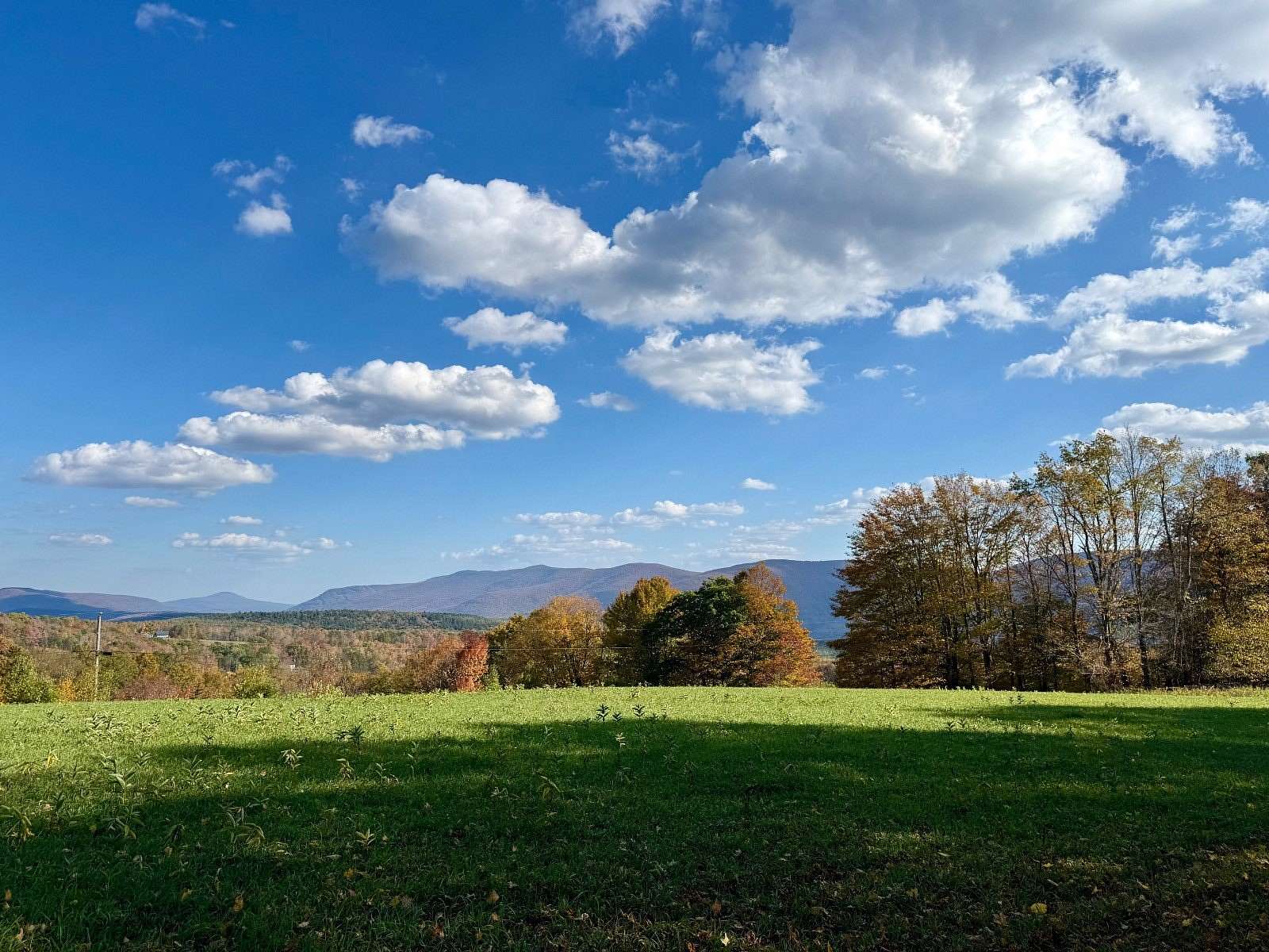 26.1 Acres of Recreational & Residential Land for Sale in Lexington, New York