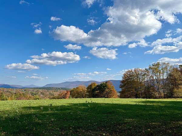 26.1 Acres of Recreational & Residential Land for Sale in Lexington, New York