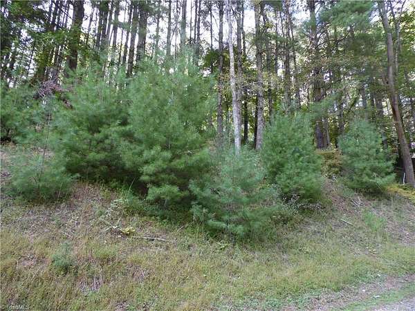 1 Acre of Residential Land for Sale in Piney Creek, North Carolina