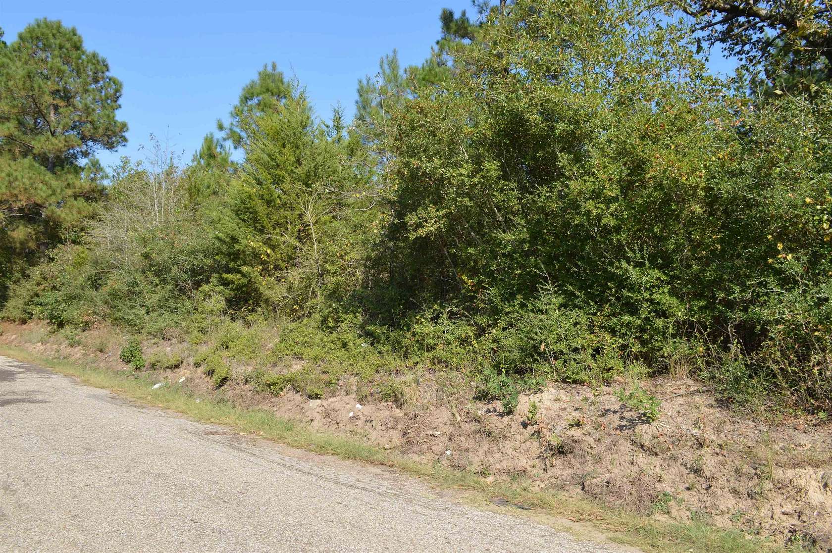 50 Acres of Recreational Land for Sale in Jefferson, Texas