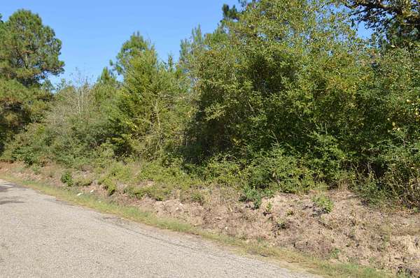 50 Acres of Recreational Land for Sale in Jefferson, Texas