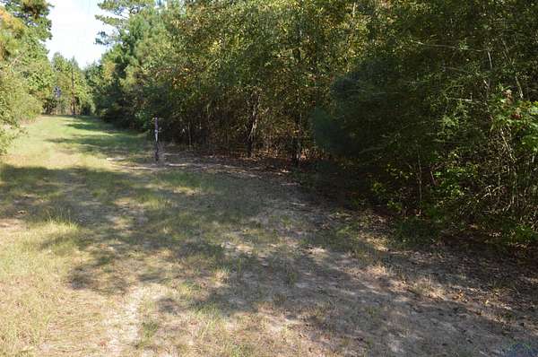 8 Acres of Land for Sale in Jefferson, Texas